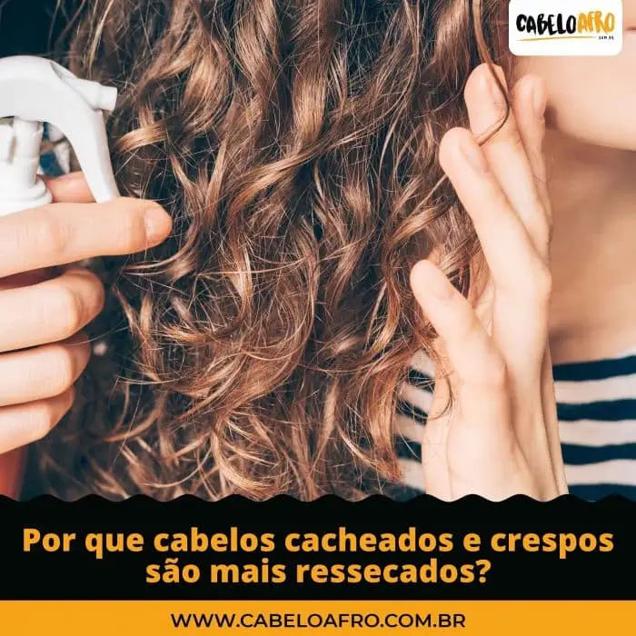 Por que cabelos cacheados e crespos são mais ressecados
