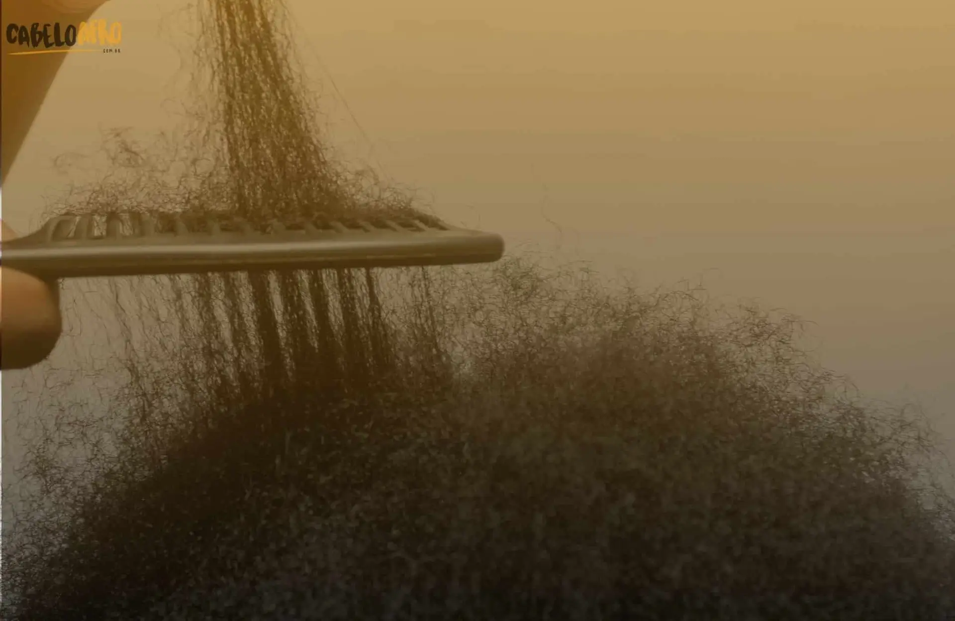 Como funciona a estrutura do fio de cabelo?