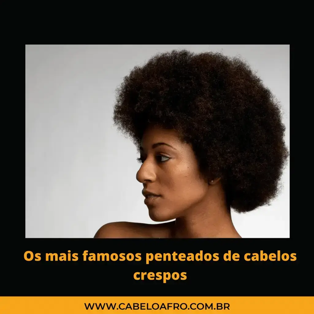 Os mais famosos penteados de cabelos crespos