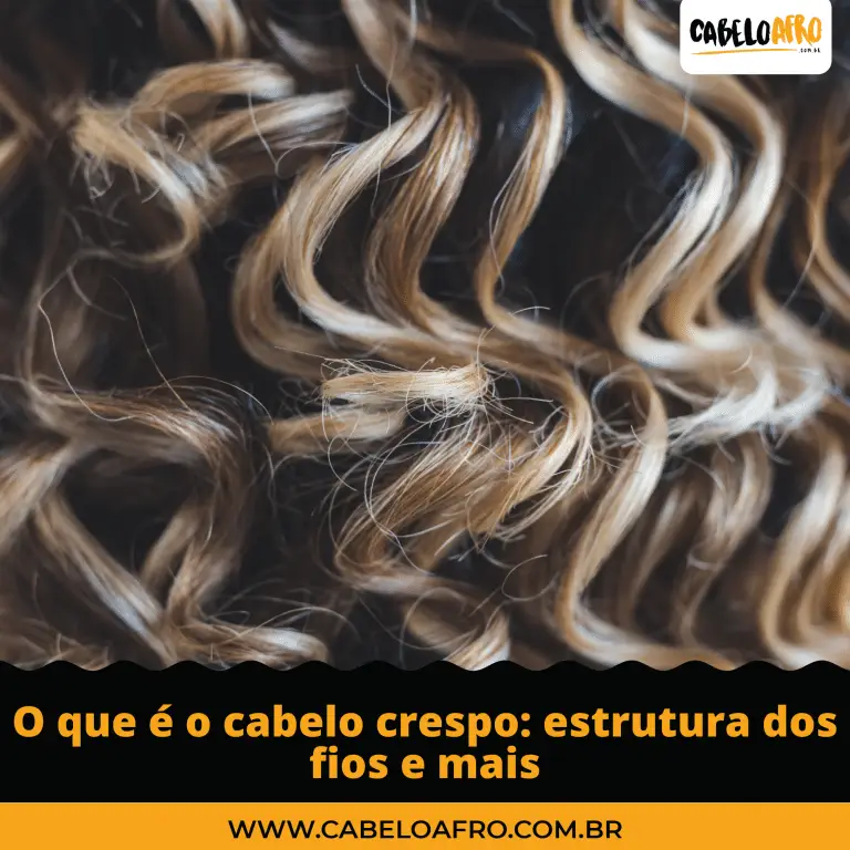 O que é o cabelo crespo estrutura dos fios e mais