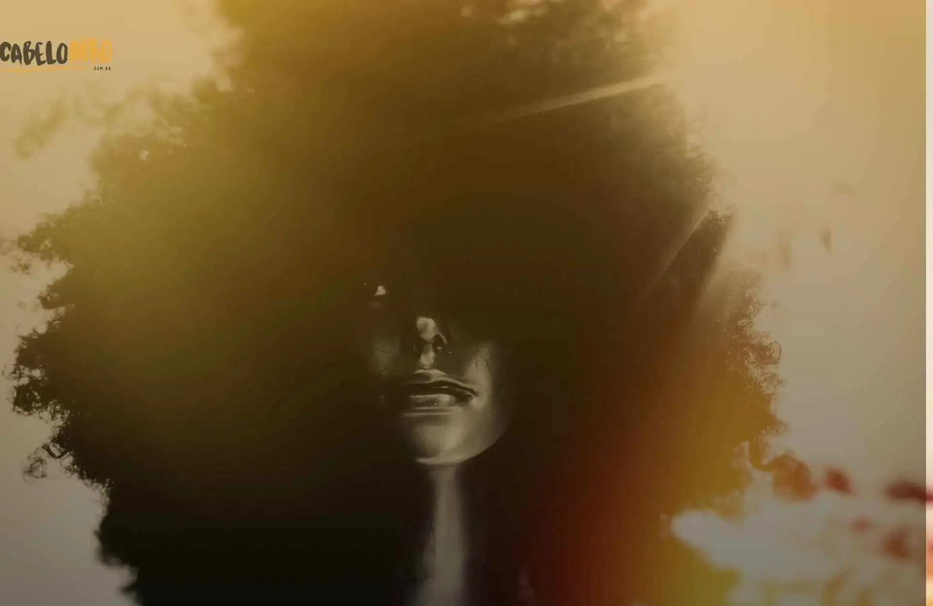 Como ter e como manter o cabelo Black Power?