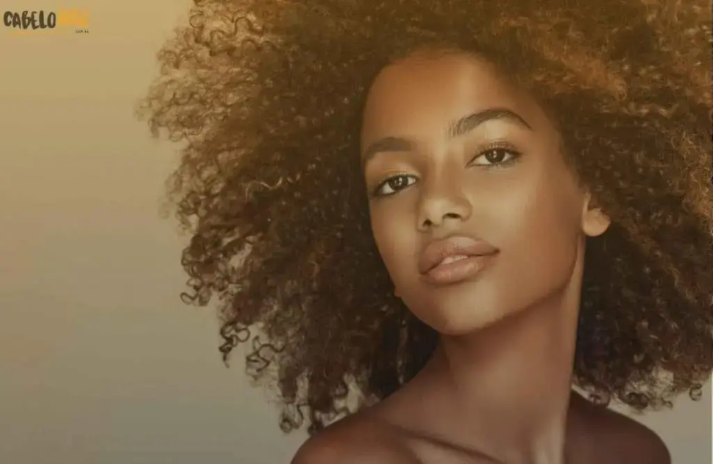 5 penteados para cabelo Afro para fazer em casa