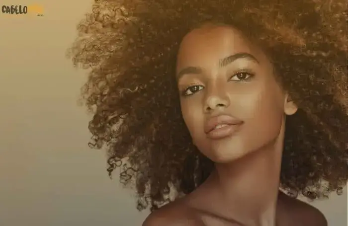 5 penteados para cabelo Afro para fazer em casa