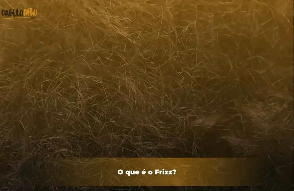 O que é o Frizz?