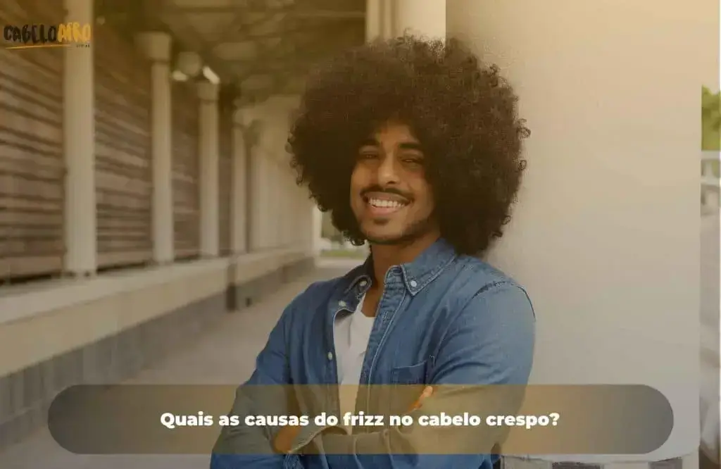 Quais as causas do frizz no cabelo crespo