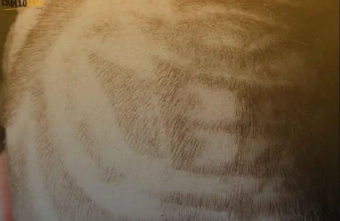 Tudo sobre o Hair Tattoo e modelos de desenhos irados no cabelo!