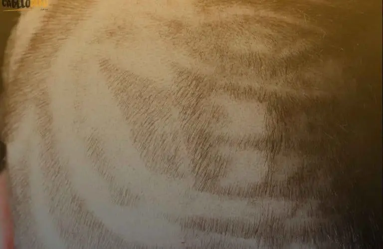 Tudo sobre o Hair Tattoo e modelos de desenhos irados no cabelo!