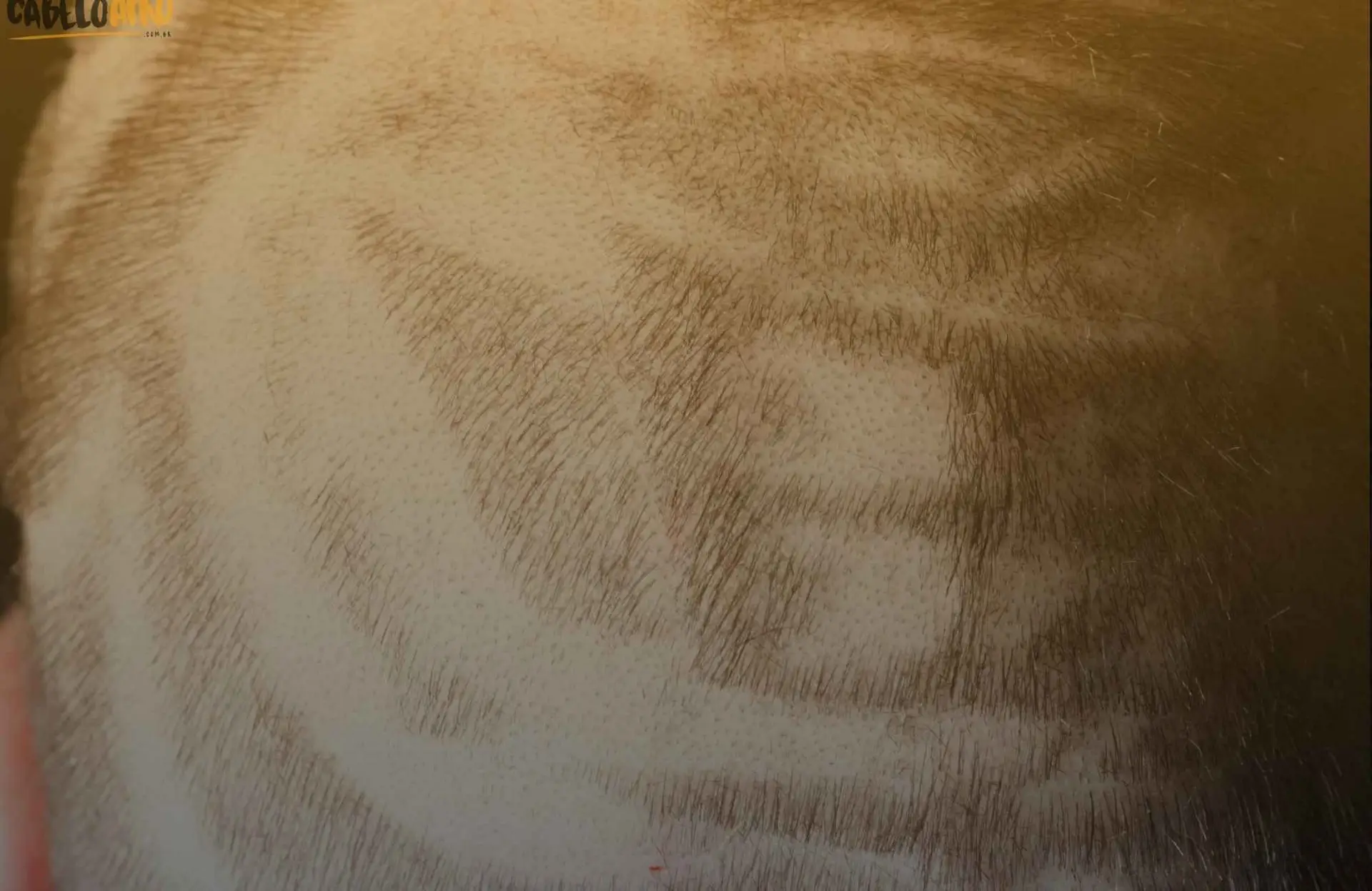 Tudo sobre o Hair Tattoo e modelos de desenhos irados no cabelo!